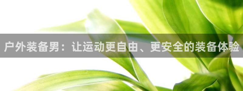 新宝gg网