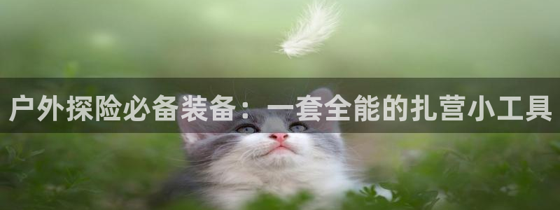 新宝 gg .com