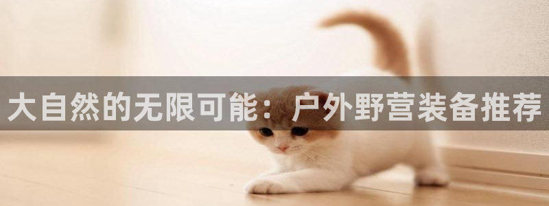 新宝gg平台注册
