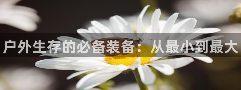 新宝GG无法充值