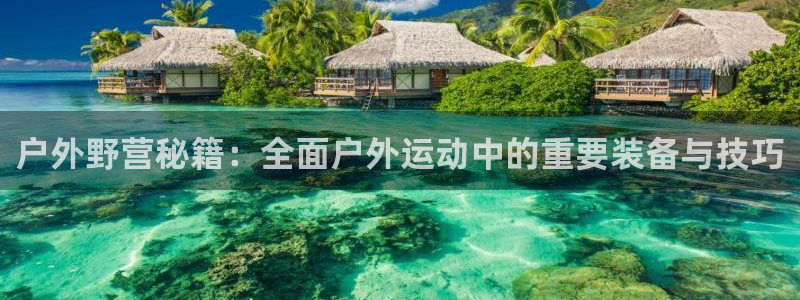新宝gg龙虎规则