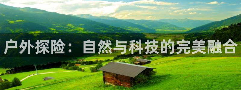 新宝gg画