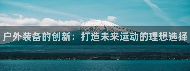 新宝GG勒55312