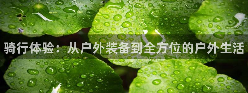 新宝gg平台gg登录gg网址