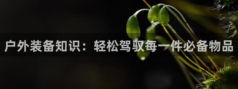 新宝GG主管41333