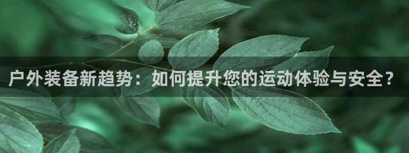 新宝gg网娱乐