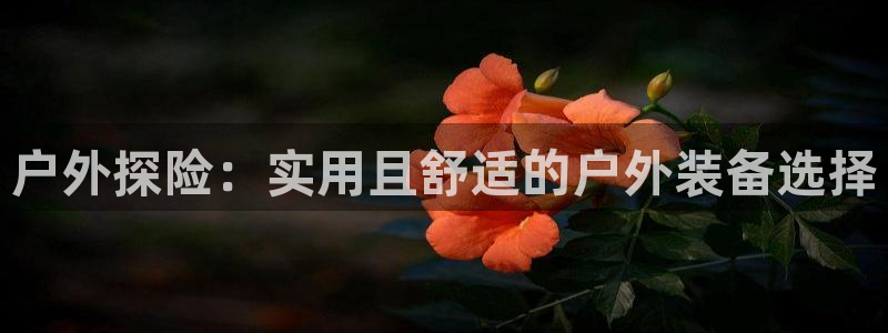 新宝gg客服电话