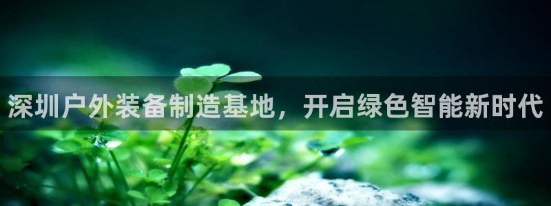 新宝gg怎样代理