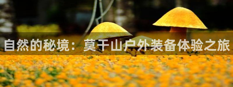 新宝GG桌面
