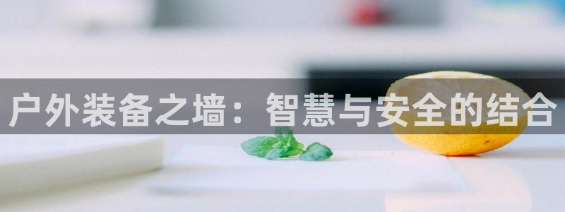 新宝 gg 登