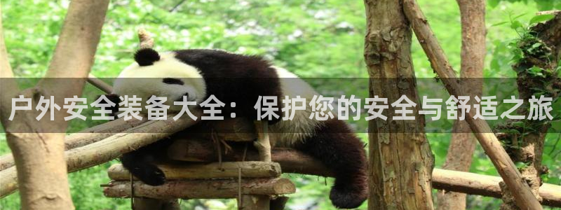 新宝gg帐号注册