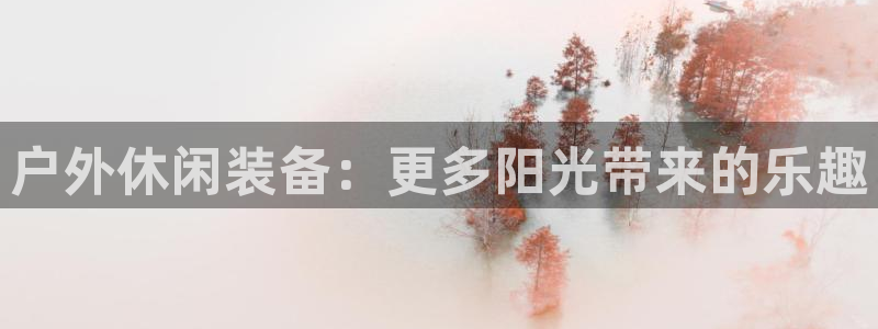 新宝gg主页