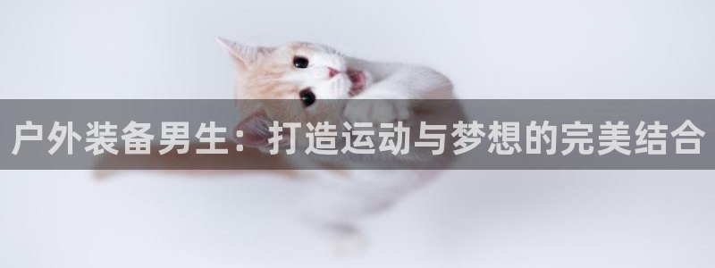 新宝gg直属