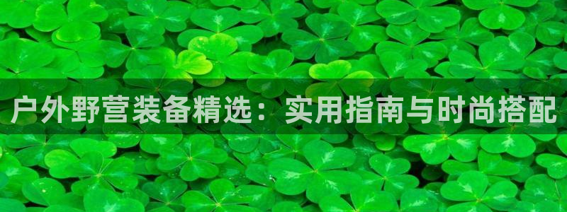 新宝GG 黑钱