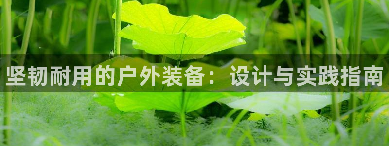 新宝gg官网登录找代理