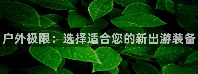 网站是新宝gg