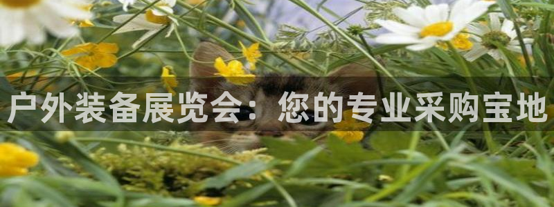 新宝gg奇迹