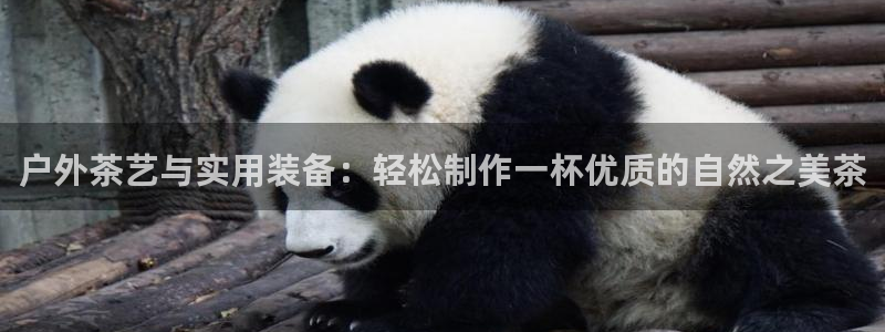 新宝gg下载官网下载