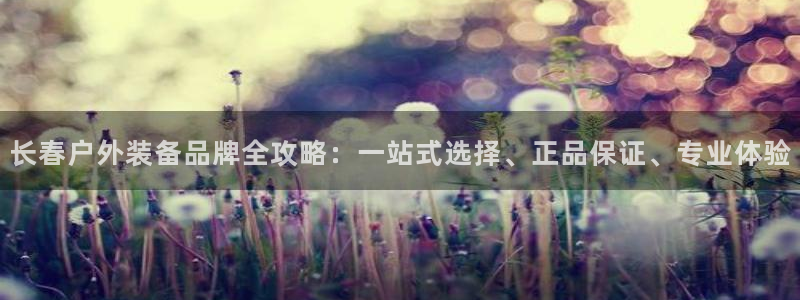 下载新宝gg