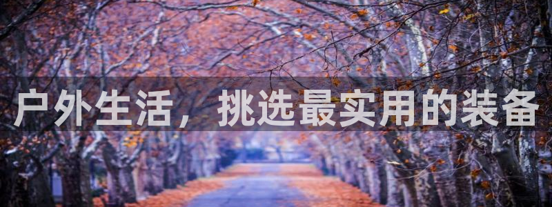 11新宝gg