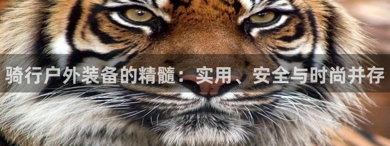 新宝gg 登录页面