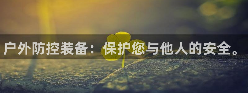 新宝gg手机登录官网