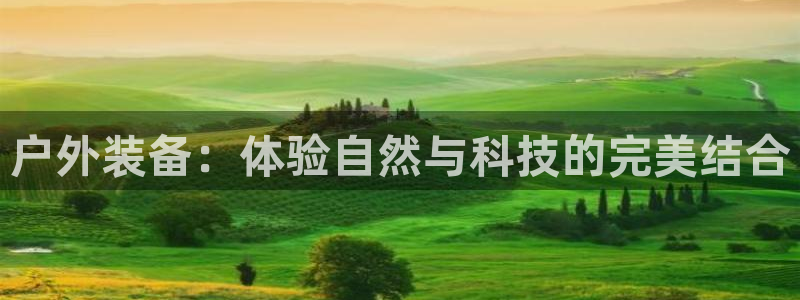 新宝gg游戏