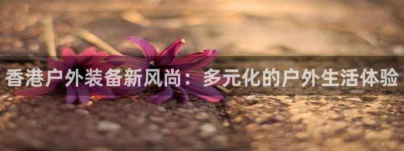 新宝gg下载