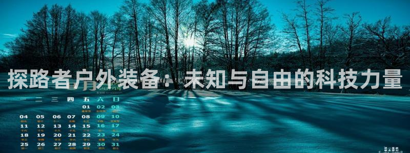 正版新宝gg