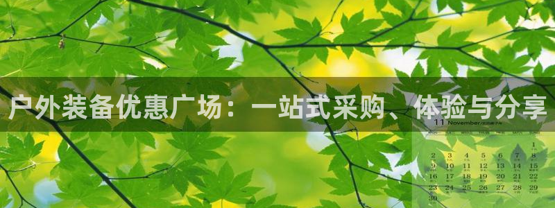 新宝gg 创