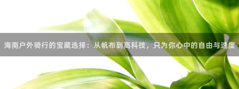 新宝gg招商