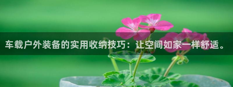 新宝gg6娱乐注册网址