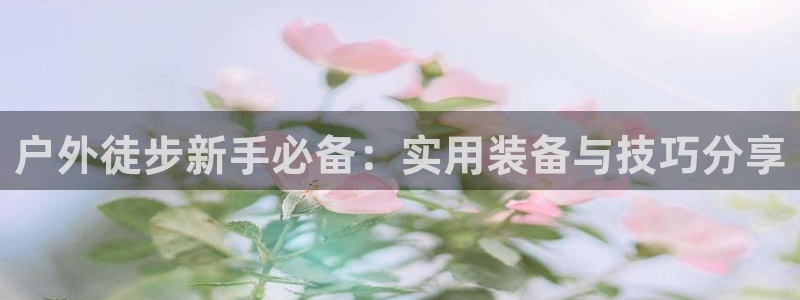 旧版新宝GG