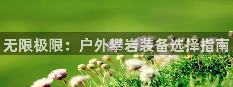 新宝gg总代理
