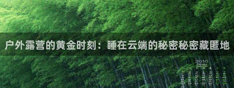 新宝gg挣钱