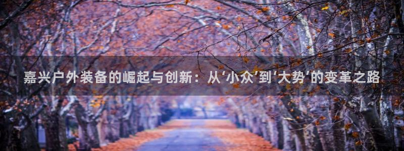 关于新宝GG
