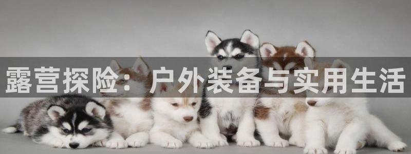 新宝gg登录注册