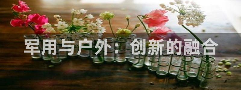 新宝GG官方域名
