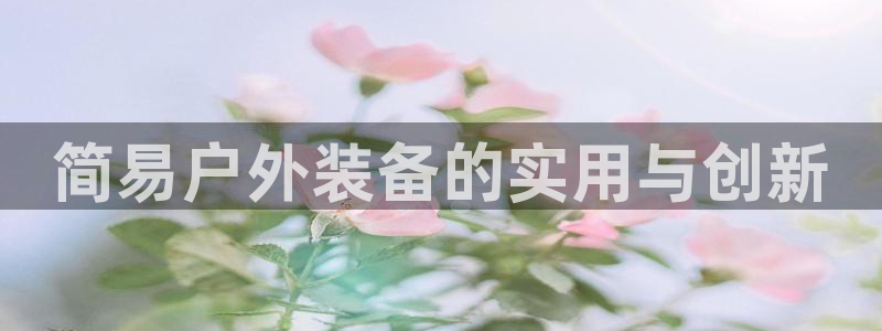新宝gg专线