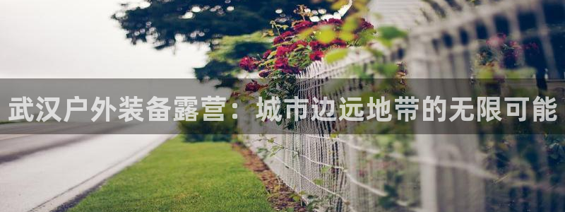 新宝gg 奇迹