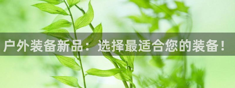 新宝gg玩法