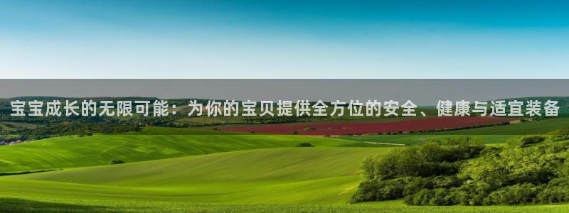 新宝gg首页平台
