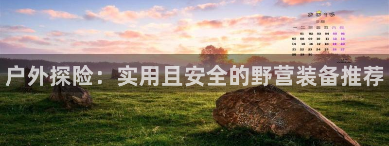 新宝gg手机登录