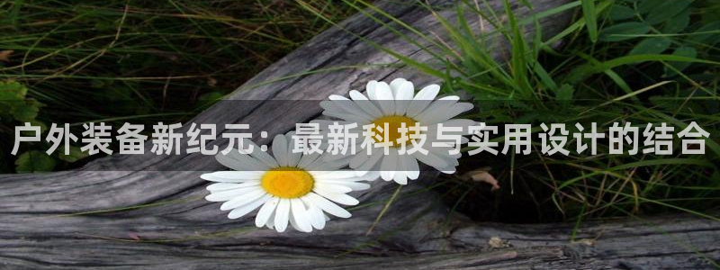 新宝gg娱乐官网