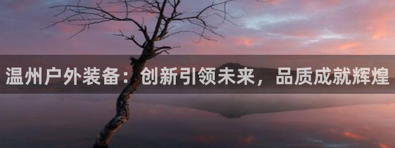 收新宝gg