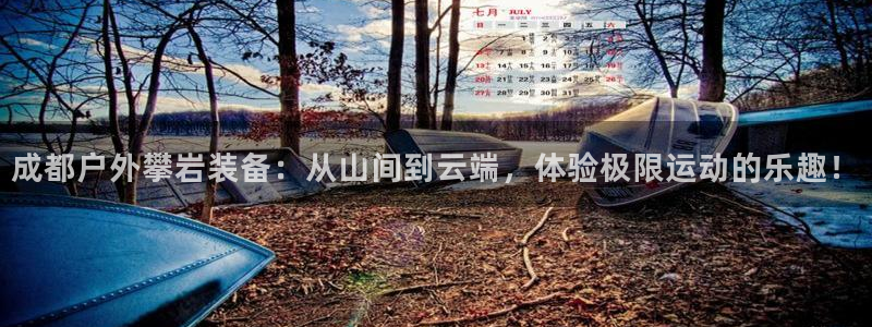 新宝gg 创造奇迹