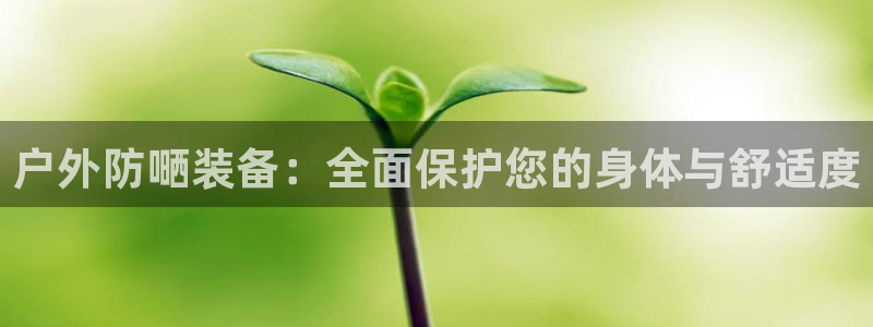 新宝gg挂机app