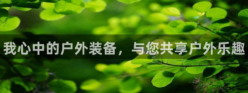 新宝gg总代理