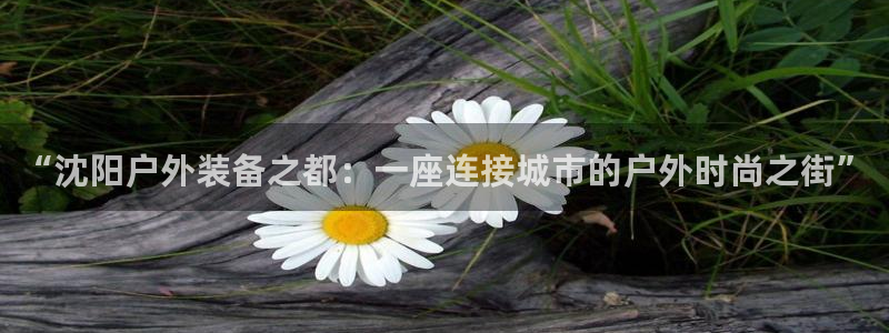 新宝gg成立