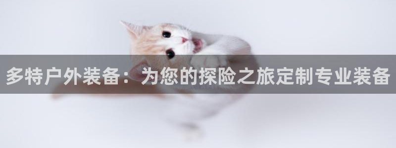 新宝gg--创